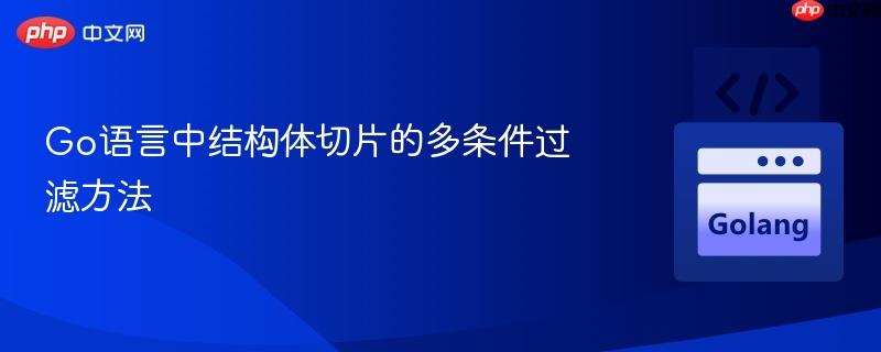 Go语言中结构体切片的多条件过滤方法