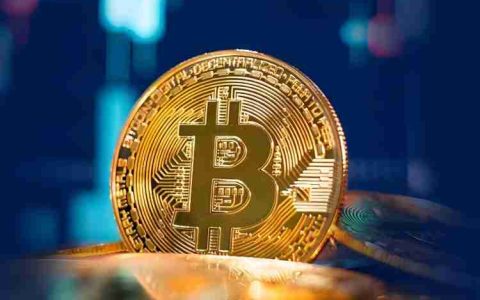 如果比特币（BTC）出现危机 其他加密货币会怎样？