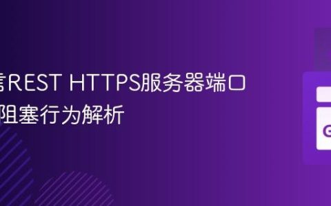 Go语言REST HTTPS服务器端口权限与阻塞行为解析