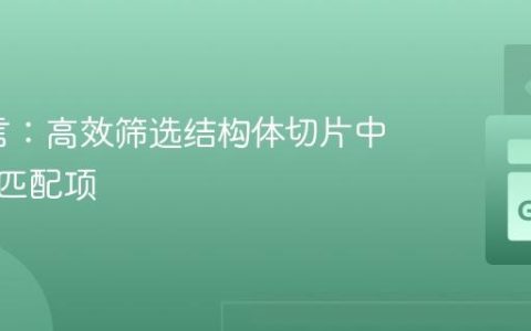 Go语言：高效筛选结构体切片中的特定匹配项