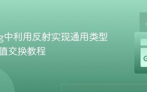 Golang中利用反射实现通用类型安全的值交换教程