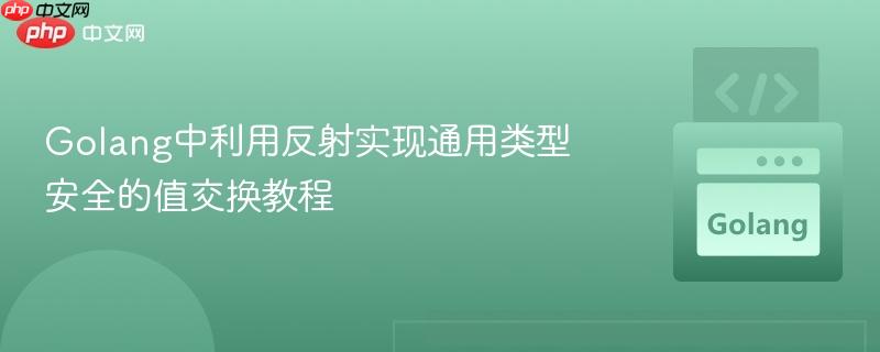 Golang中利用反射实现通用类型安全的值交换教程