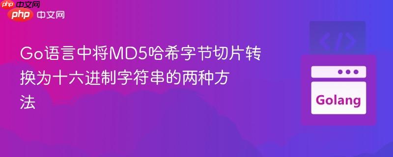 Go语言中将MD5哈希字节切片转换为十六进制字符串的两种方法