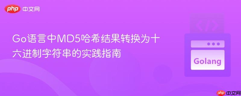 Go语言中MD5哈希结果转换为十六进制字符串的实践指南