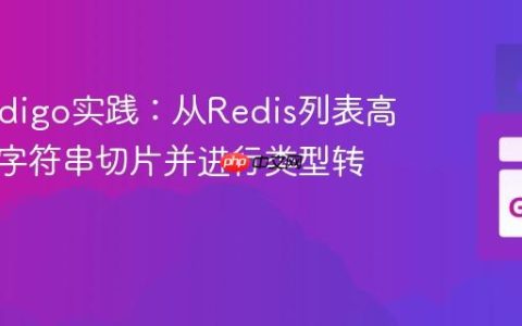 Go Redigo实践：从Redis列表高效获取字符串切片并进行类型转换