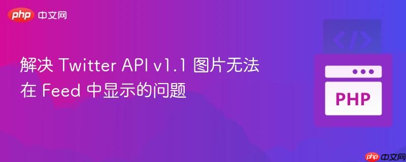 解决 twitter api v1.1 图片无法在 feed 中显示的问题
