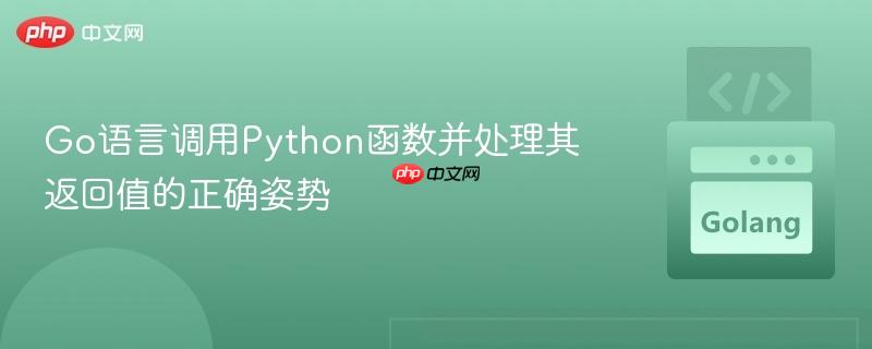 Go语言调用Python函数并处理其返回值的正确姿势