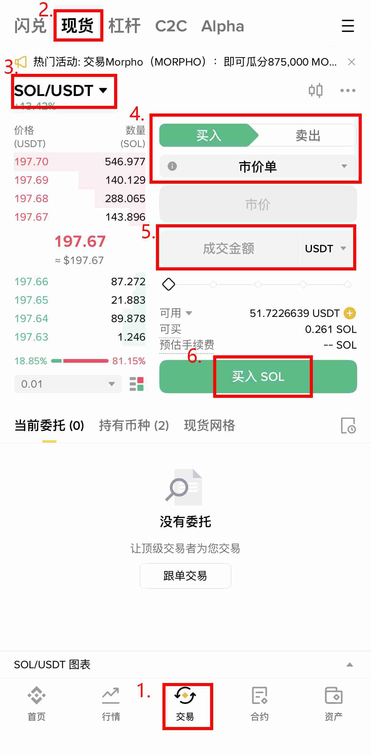 Sol会大跌吗？Solana的未来走势与风险