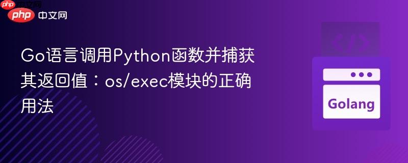 Go语言调用Python函数并捕获其返回值:os/exec模块的正确用法