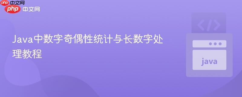 Java中数字奇偶性统计与长数字处理教程