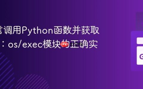 Go语言调用Python函数并获取返回值：os/exec模块的正确实践