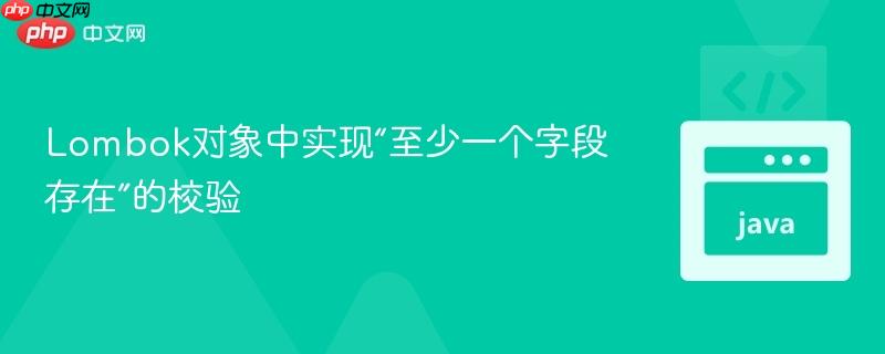 Lombok对象中实现“至少一个字段存在”的校验