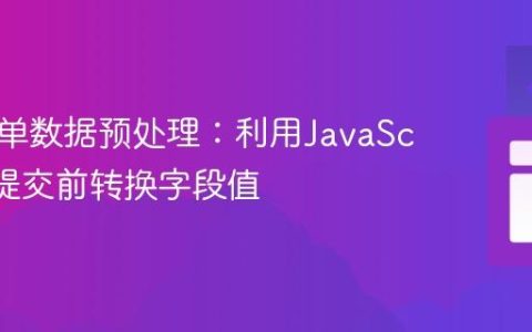 前端表单数据预处理：利用JavaScript在提交前转换字段值