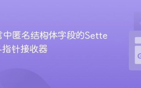 Go语言中匿名结构体字段的Setter方法与指针接收器