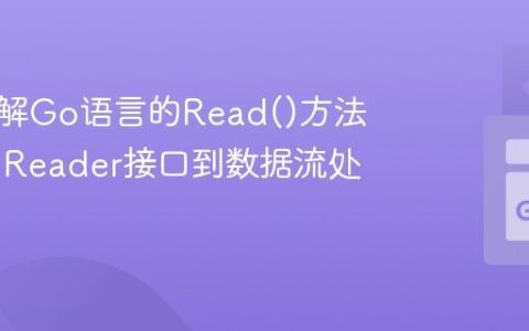 深入理解Go语言的Read()方法：从io.Reader接口到数据流处理实践