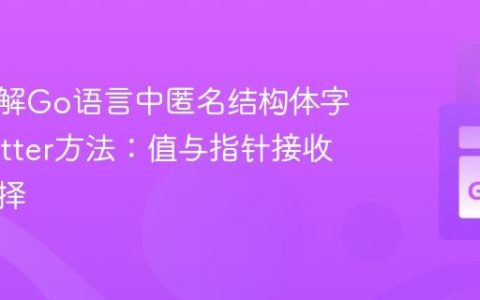 深入理解Go语言中匿名结构体字段的Setter方法：值与指针接收器的选择