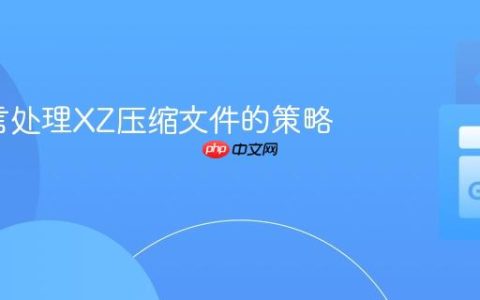 Go语言处理XZ压缩文件的策略与实践