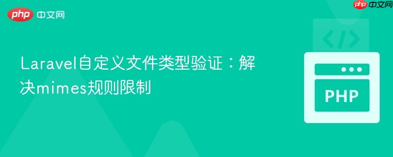 Laravel自定义文件类型验证:解决mimes规则限制