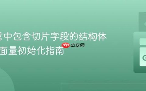 Go语言中包含切片字段的结构体复合字面量初始化指南