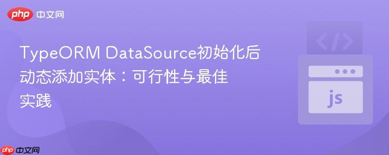TypeORM DataSource初始化后动态添加实体:可行性与最佳实践