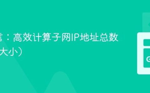 Go语言：高效计算子网IP地址总数（网络大小）