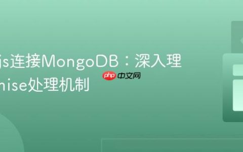 Node.js连接MongoDB：深入理解Promise处理机制