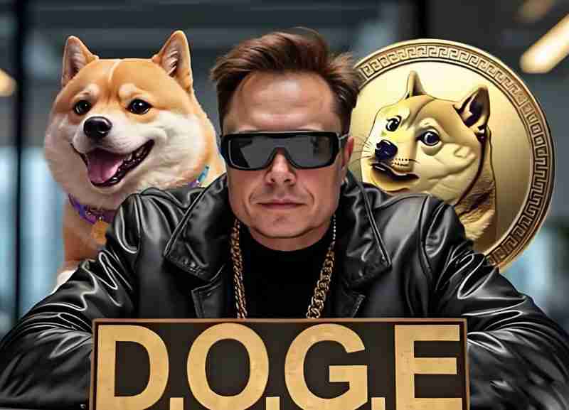 马斯克发文喊话“把狗狗币(DOGE)真正送上月球的时机到了”