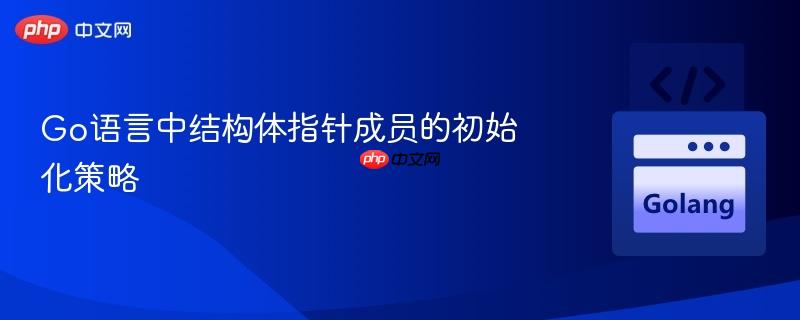 Go语言中结构体指针成员的初始化策略
