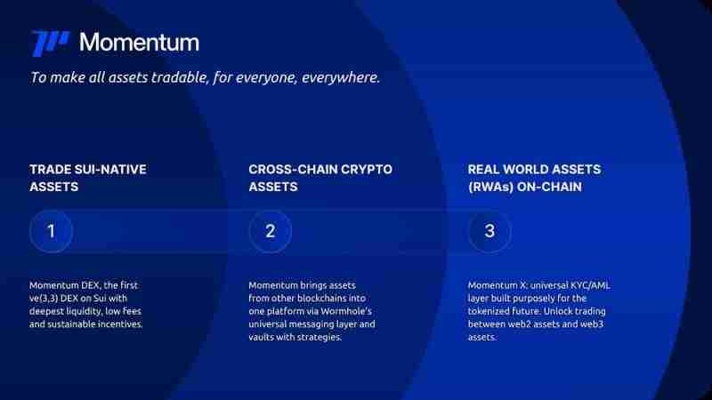 什么是Momentum(MMT)币?它是如何运作的?Momentum运作方式、代币经济及路线图介绍