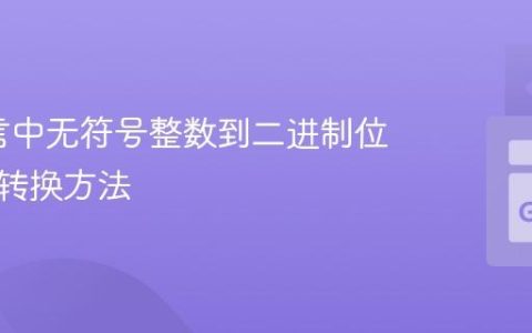 Go语言中无符号整数到二进制位切片的转换方法
