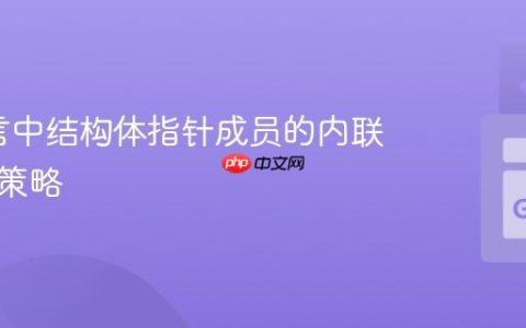 Go语言中结构体指针成员的内联初始化策略