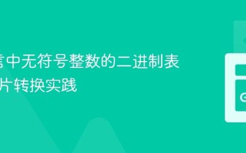 Go语言中无符号整数的二进制表示与切片转换实践