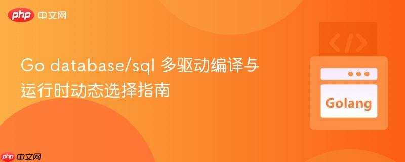 Go database/sql 多驱动编译与运行时动态选择指南