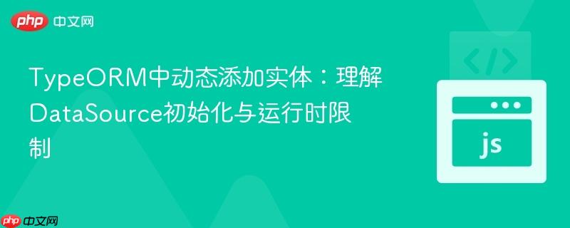 TypeORM中动态添加实体:理解DataSource初始化与运行时限制