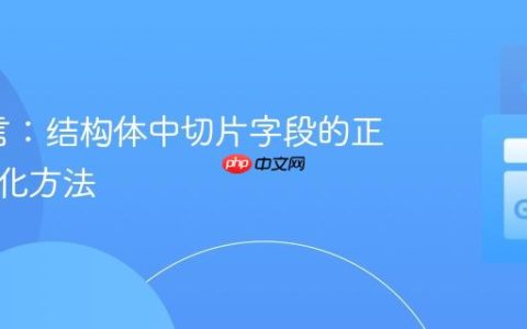 Go语言：结构体中切片字段的正确初始化方法