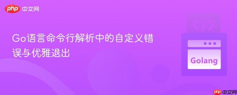 Go语言命令行解析中的自定义错误与优雅退出