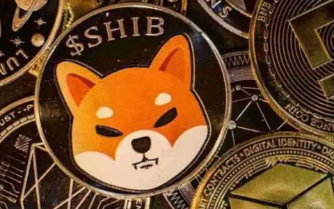 SHIB币价格预测：燃烧机制能否助其再创千倍神话？