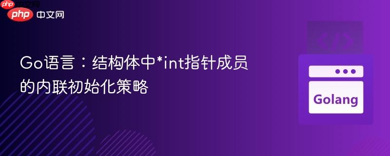 Go语言:结构体中*int指针成员的内联初始化策略
