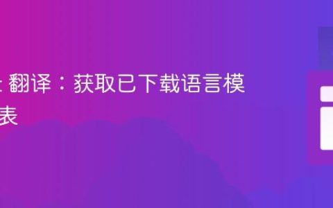 ML Kit 翻译：获取已下载语言模型的列表