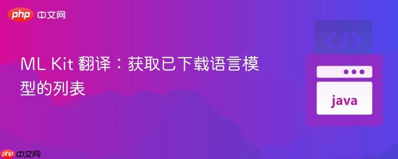 ML Kit 翻译:获取已下载语言模型的列表