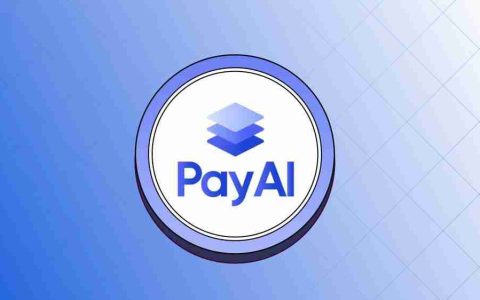 什么是PayAI Network(PAYAI)币？PAYAI项目概览、代币经济学及价格预测