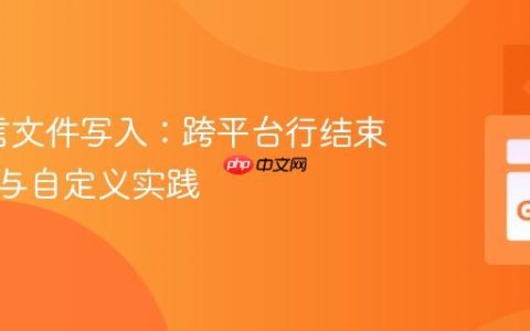 Go语言文件写入：跨平台行结束符处理与自定义实践