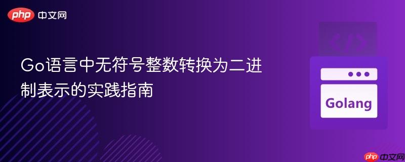 Go语言中无符号整数转换为二进制表示的实践指南