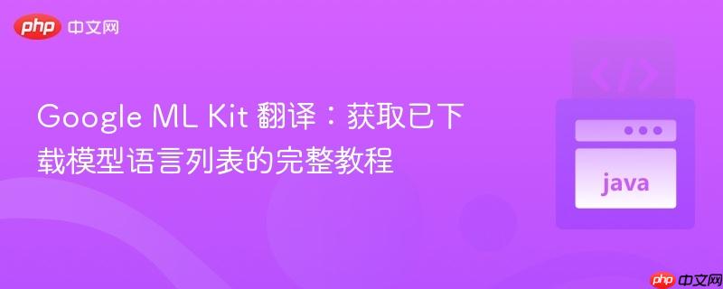 Google ML Kit 翻译:获取已下载模型语言列表的完整教程