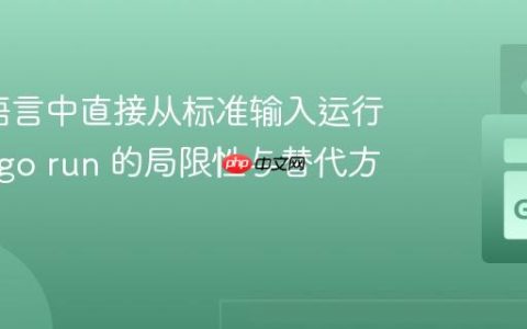 在Go语言中直接从标准输入运行代码：go run 的局限性与替代方案