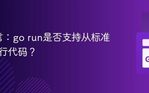 Go语言：go run是否支持从标准输入执行代码？