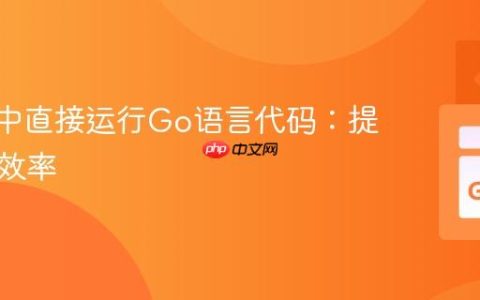 在Vim中直接运行Go语言代码：提升开发效率