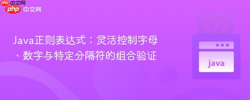 Java正则表达式:灵活控制字母、数字与特定分隔符的组合验证