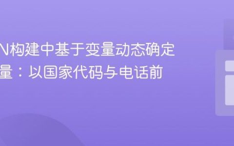 在JSON构建中基于变量动态确定其他变量：以国家代码与电话前缀为例