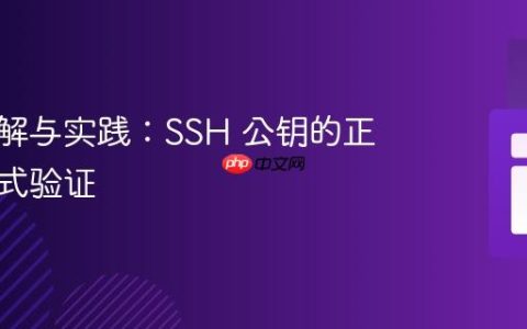 深入理解与实践：SSH 公钥的正则表达式验证